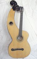 Harp guitar full