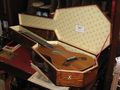 Guitar in Coffin Case