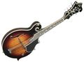International 58930 Loar Professional Model Mandolin