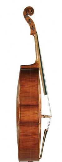 Cello da spalla 16 and half side