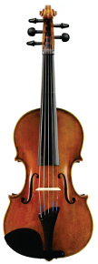 Fat Strad 5-string front cropped