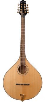 Goldtone Octave Mando full