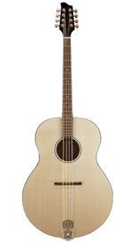 Goldtone Octave Mando-Guitar 3