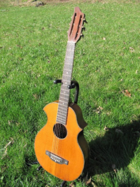 Venguitar0001