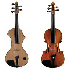 Electric and acoustic