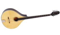 Modern Irish Bouzouki scaled