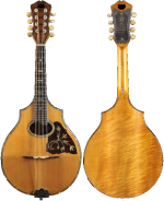 Vega mandolin scaled