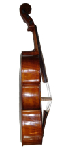 Violoncello da Spalla No 8 by Don Rickert (side)