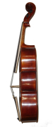 Violoncello da Spalla No 18 by Don Rickert (side)