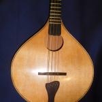 Sessioneer Spartan plan view body