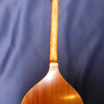 Sessioneer Spartan back view full