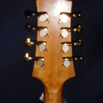 Sessioneer Spartan headstock back