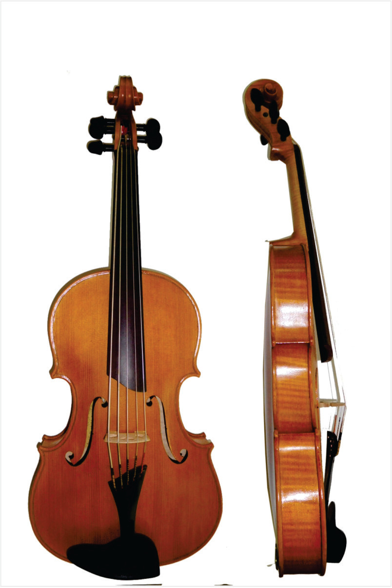 D Rickert Musical Instruments – Bespoke bowed and plucked string ...