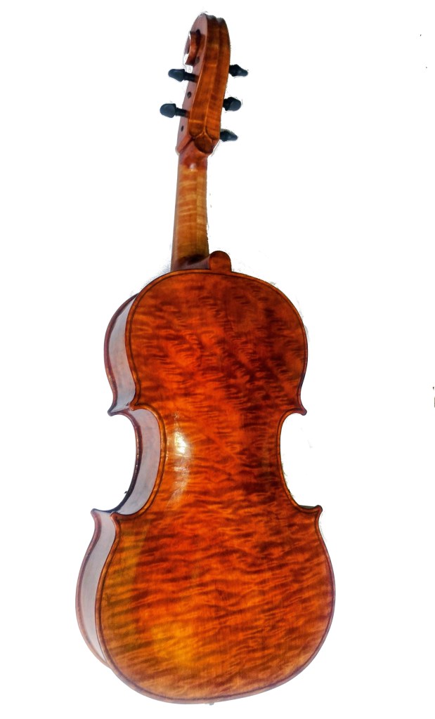 Back view of a polished violin showcasing its ornate wood grain and curvature.