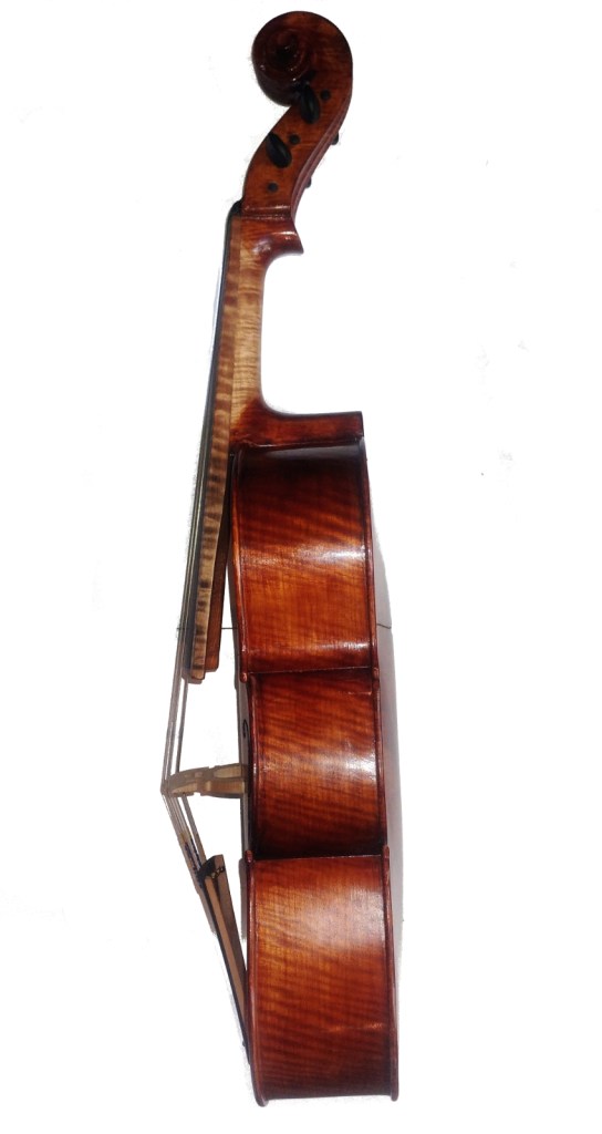 Side view of a wooden cello showcasing its curved body and scroll.